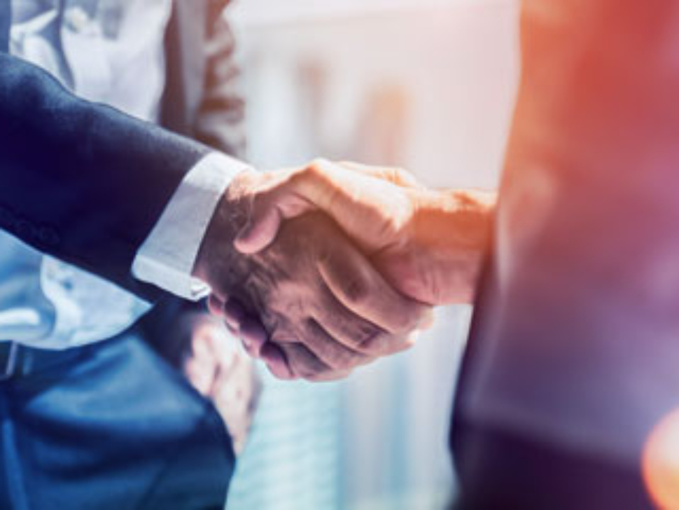 about-synergy--partnerschaft