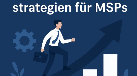 Optimierungsstrategien MSP